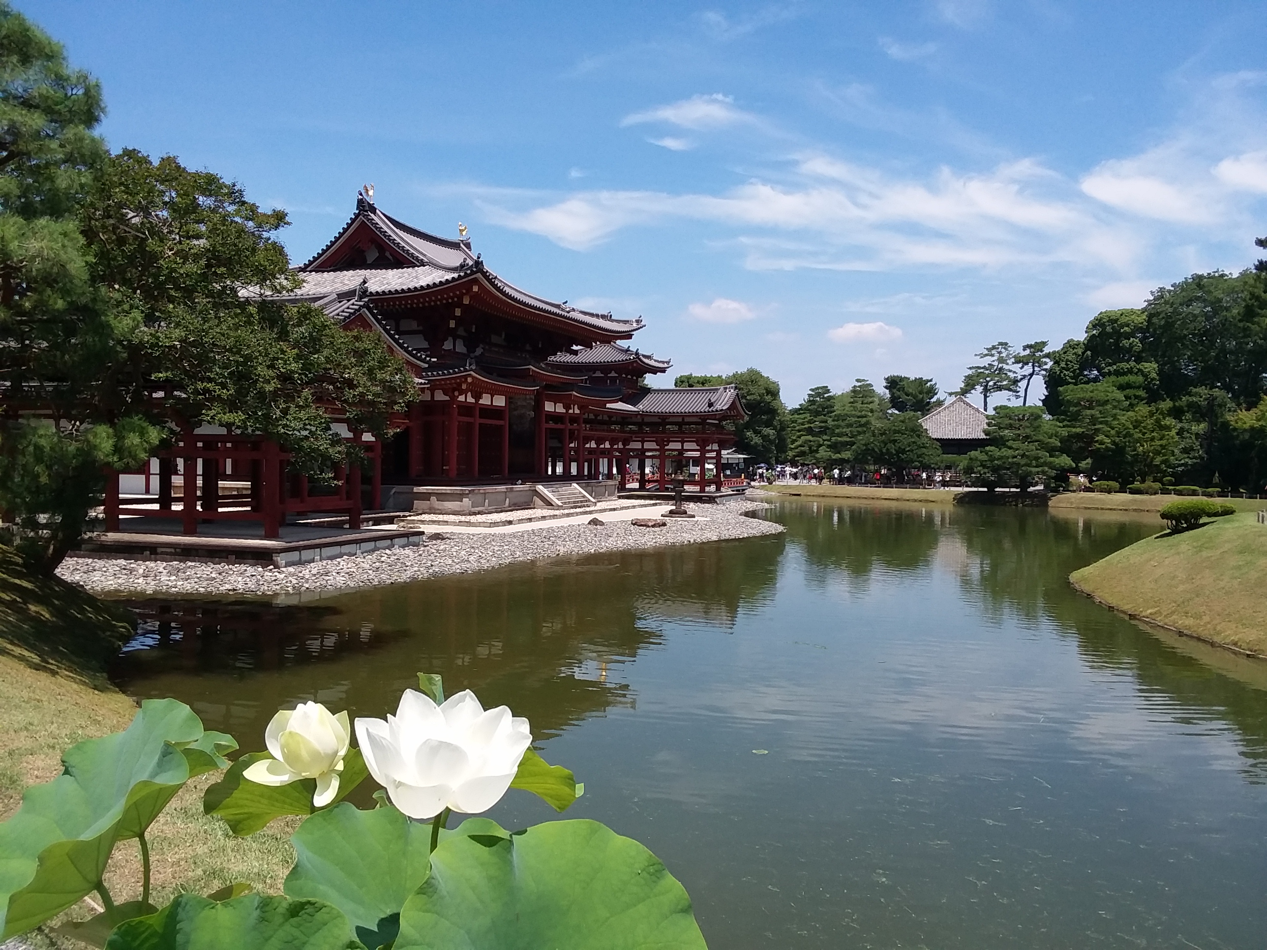 Japanese Water Scene